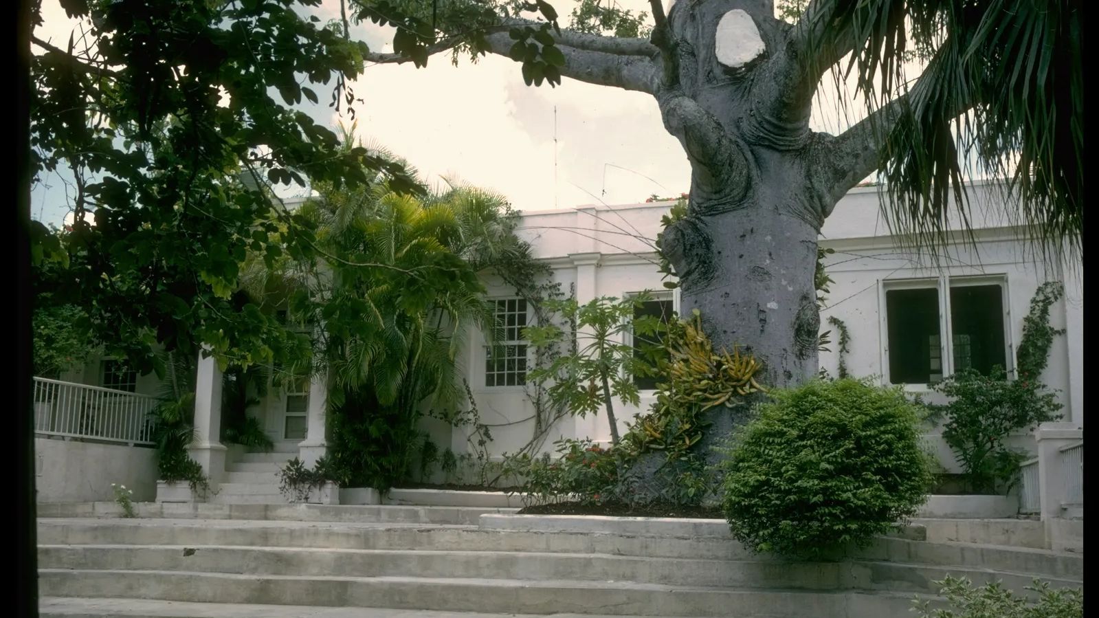 Finca Vigía（海明威故居）丨古巴哈瓦那丨建筑师米格尔·帕斯夸尔和巴格尔（西班牙加泰罗尼亚人）-2