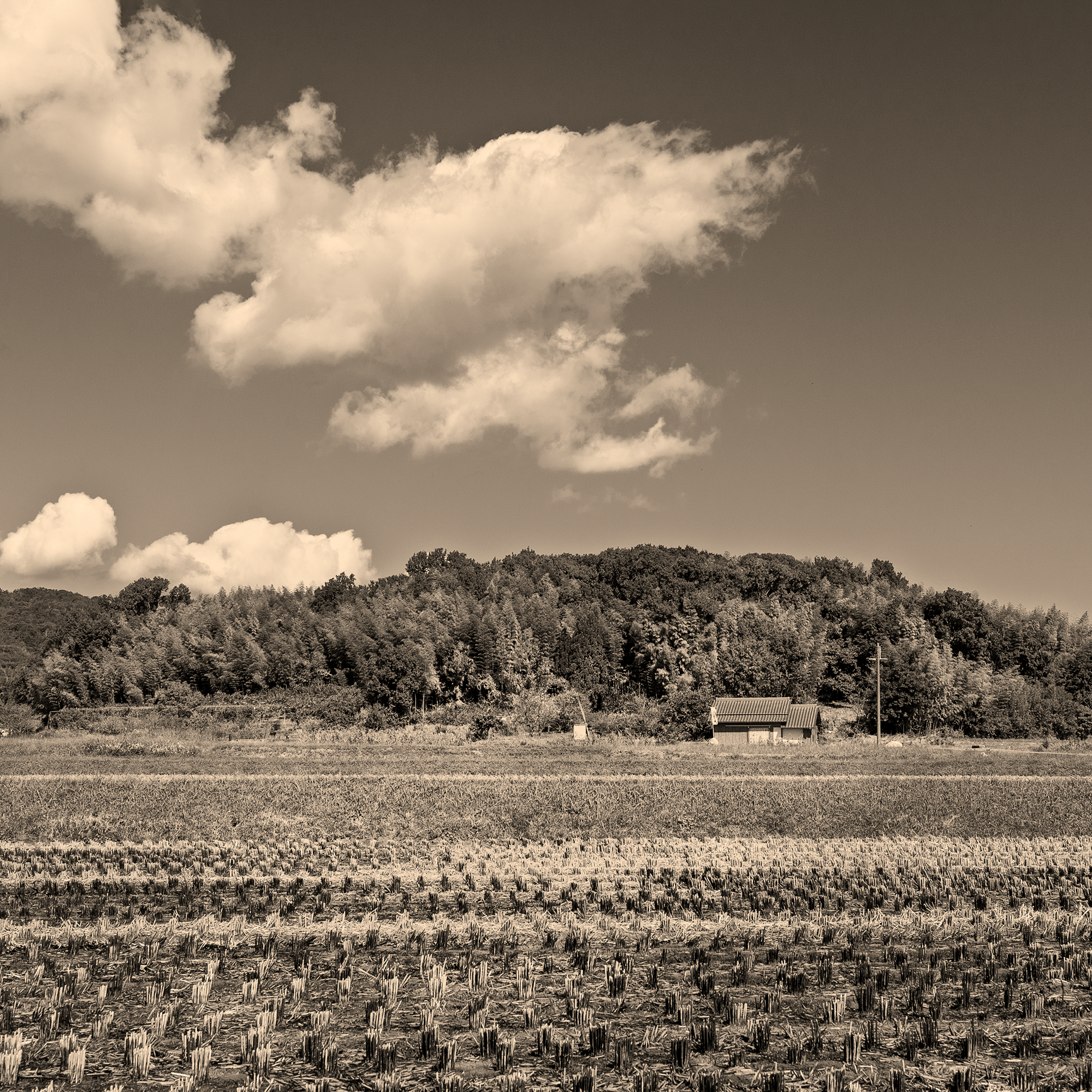 HORYUJI,最古老的木制建筑丨日本奈良丨HashiLaboratory-27