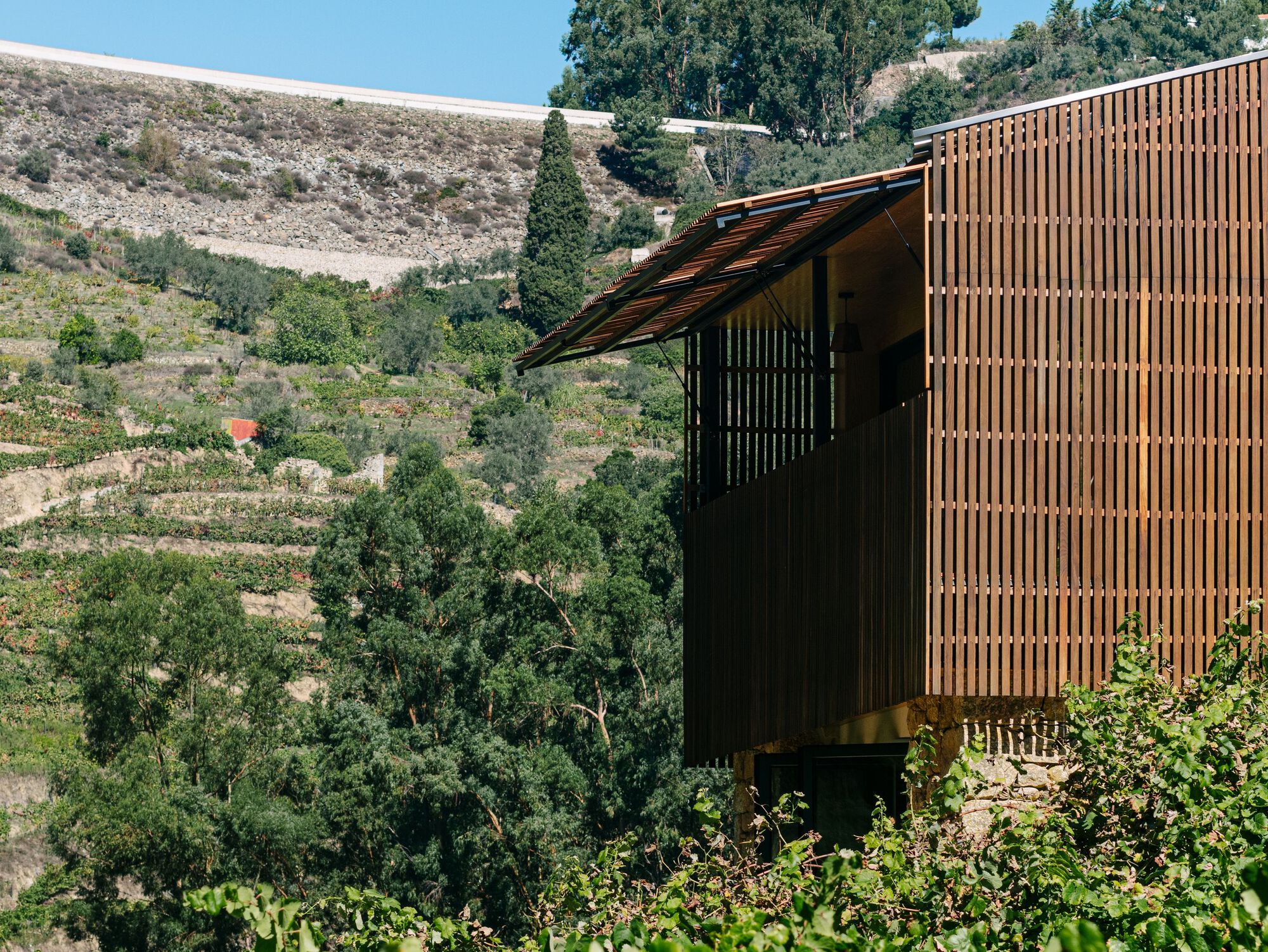 拉加尔宅邸丨Colajj-27