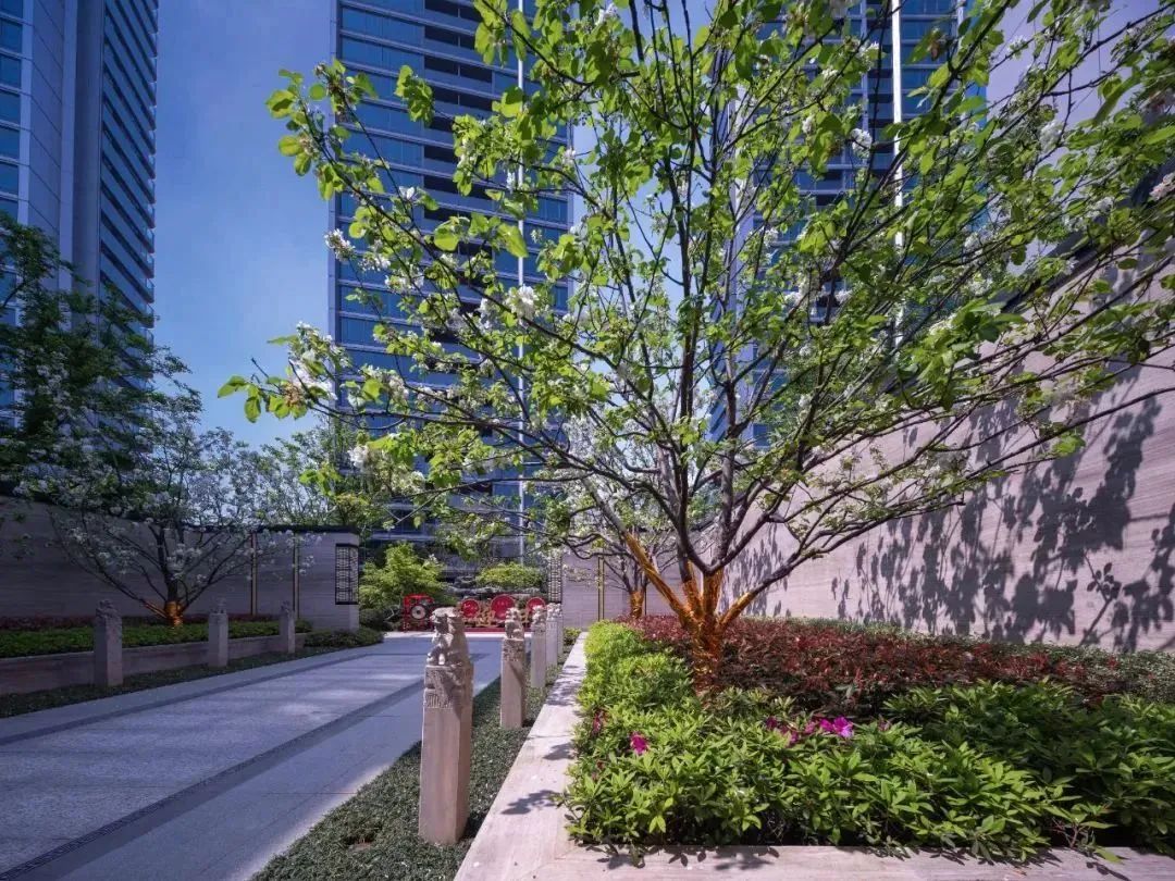 新华园•宋都桐庐富春望景观设计丨中国杭州丨棕榈设计有限公司杭州(成都)区域-67