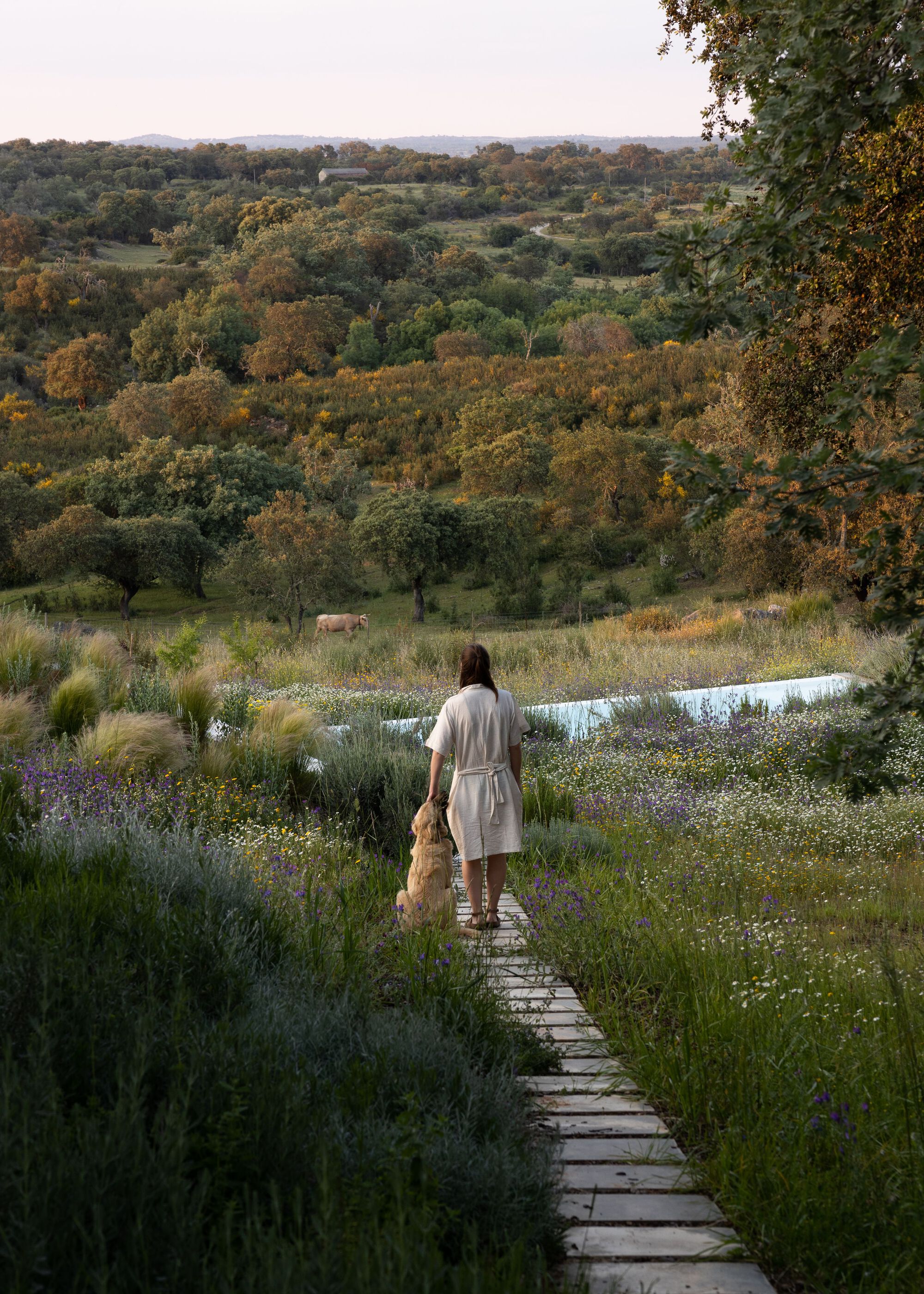 克拉托的房子丨葡萄牙丨Inês Brandão Arquitectura-40