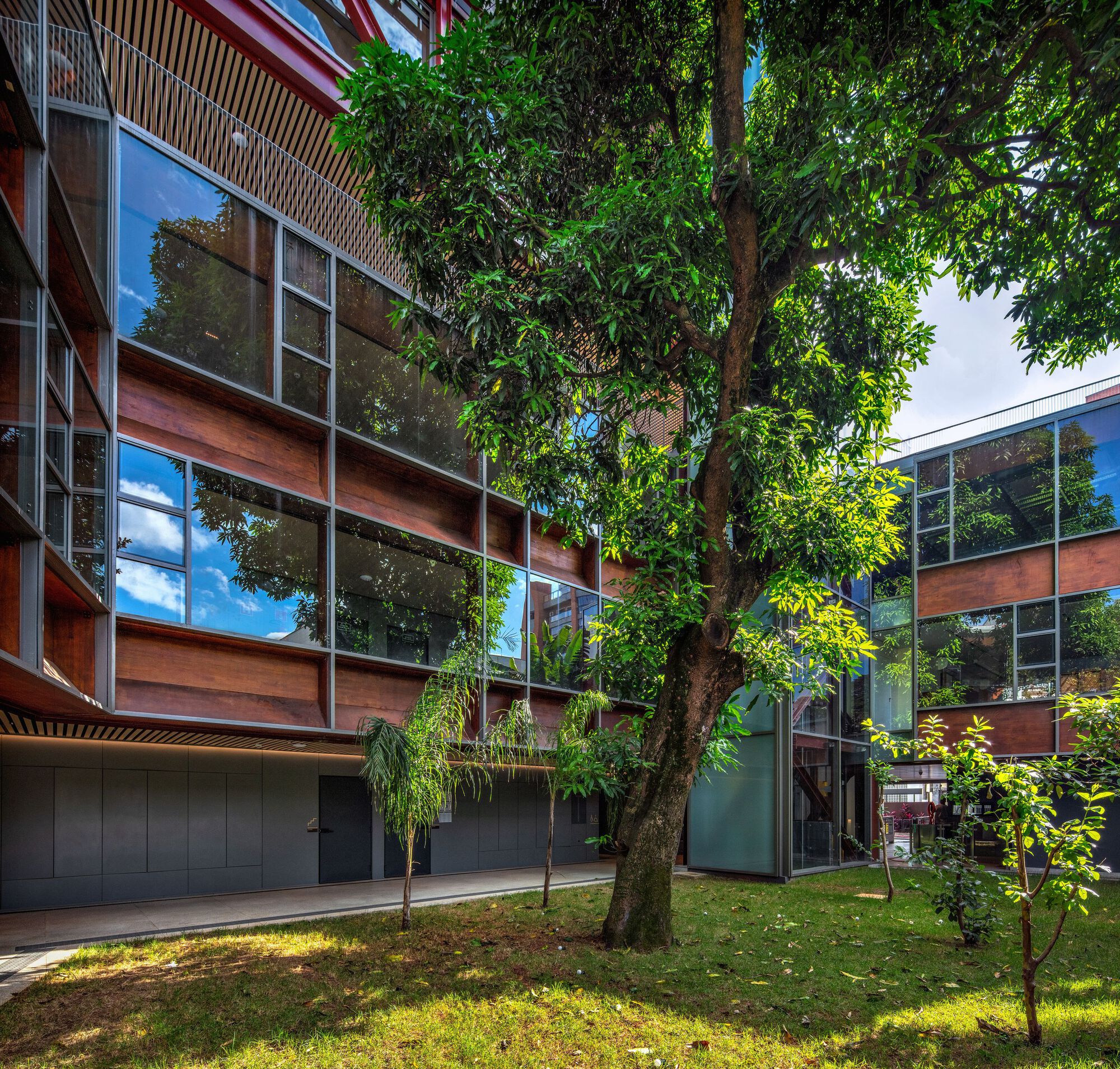 Rudolf Steiner 大学新总部丨巴西圣保罗丨Biselli Katchborian Arquitetos-24