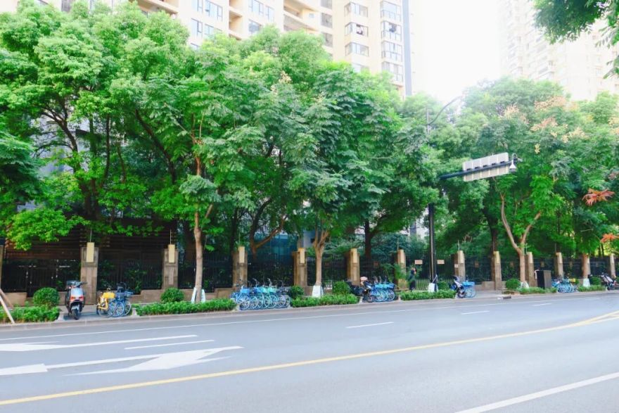 寻绿丨瑞虹新城:从虹镇老街到理想生活街区-58