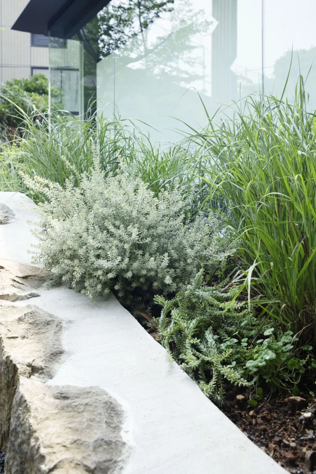 东京公厕改造项目丨日本东京丨16位日本顶尖设计师-101