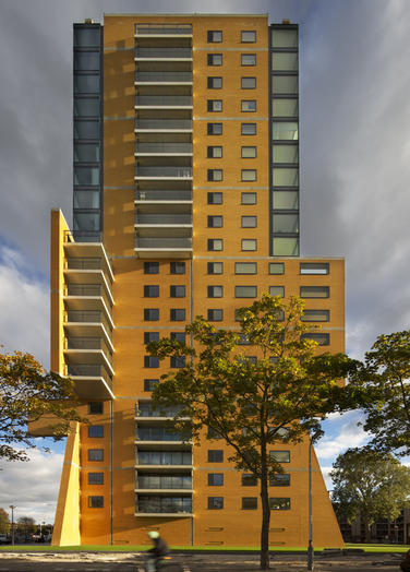 法罗斯（埃及亚历山大港外的一个岛名，岛上曾建有著名的灯塔）丨Liesbeth van der Pol及其团队-16