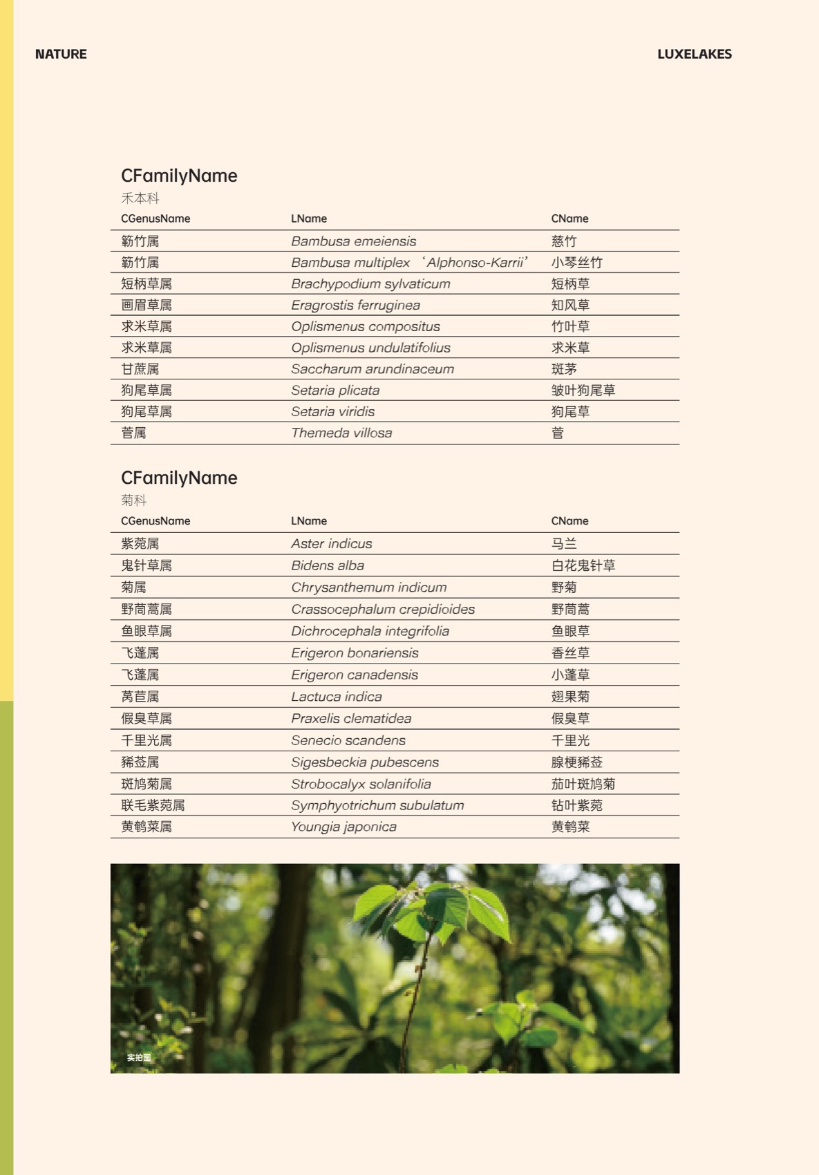 麓野公园丨中国成都丨四川乐道景观设计有限公司-190