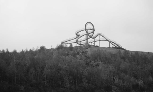 “老虎与乌龟”丨德国丨德国艺术家乌尔里希·根茨和海克·穆特-2