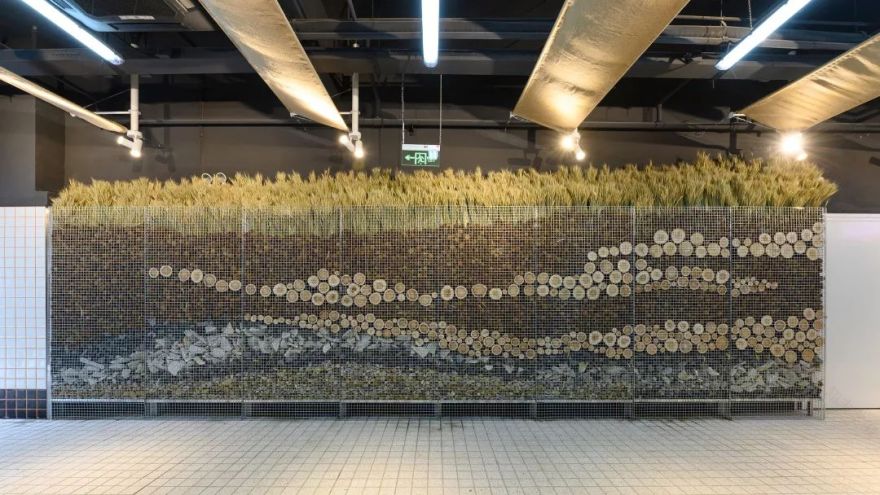 永年菜场的"城市乡野"更新-116