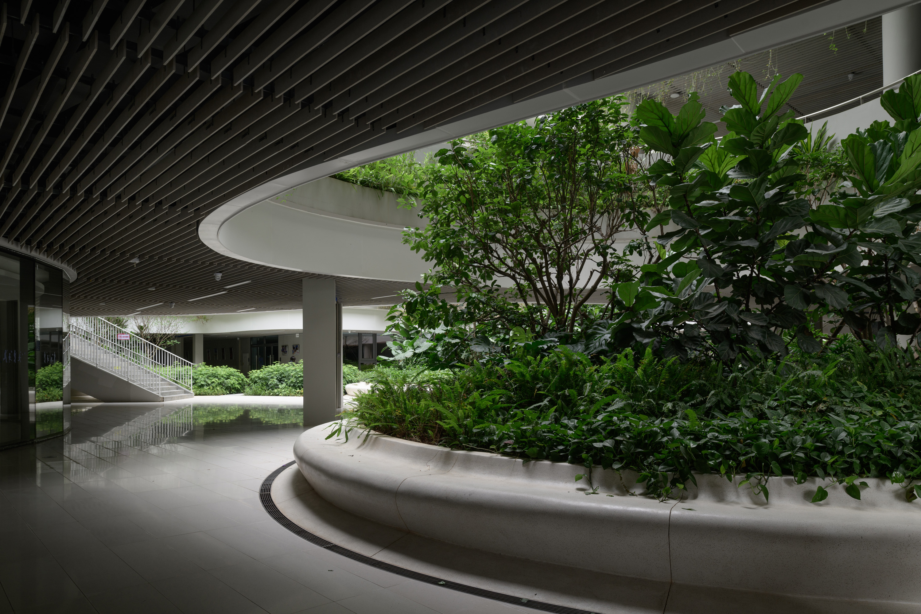 红岭教育集团 华富实验学校丨中国深圳丨大小景观,深圳市建筑设计研究总院有限公司,广州天泓-172