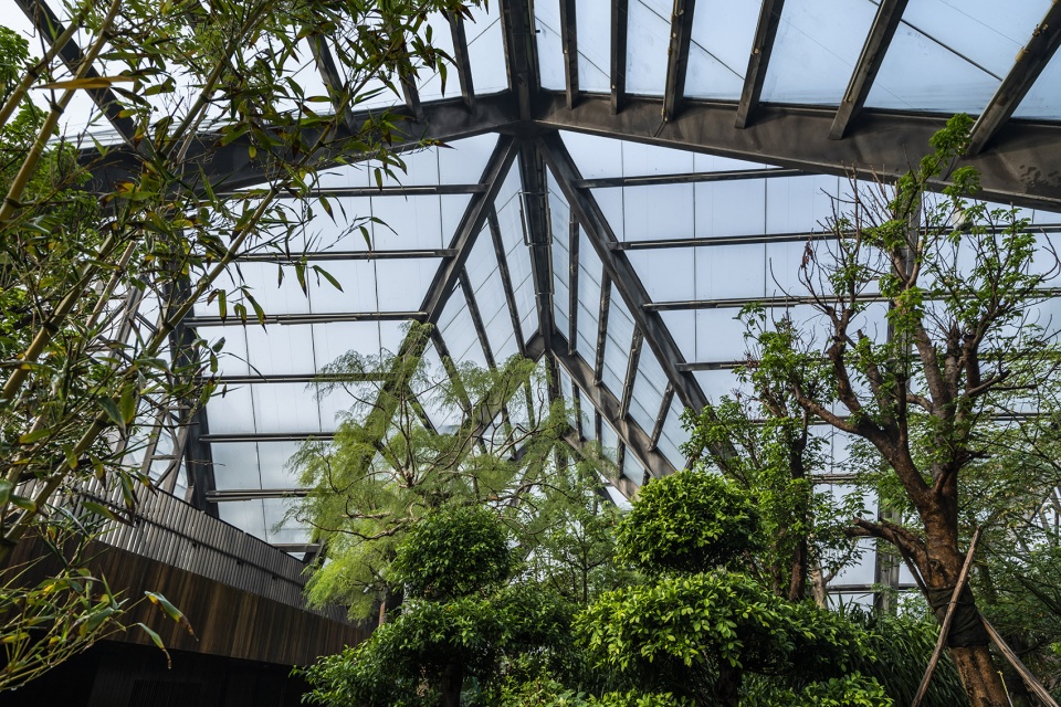 衡水植物园温室展览馆丨中国河北丨空格建筑-100