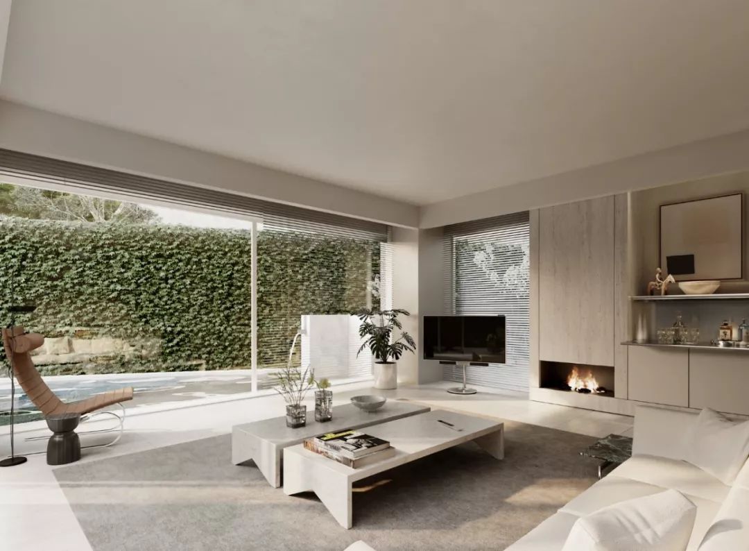 Davidov Architects | 住宅与公共概念的融合-21