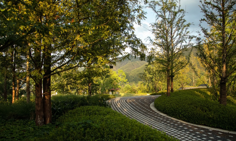 黄山悦榕庄 | 融入自然的诗意疗愈景观设计-43