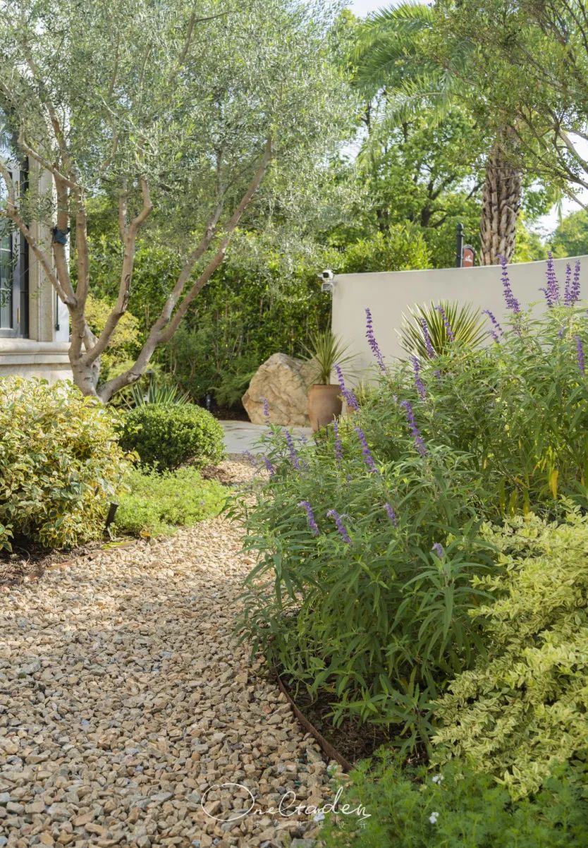 自然野趣 · 城市边缘的 800㎡花园秘境丨OneGarden-19