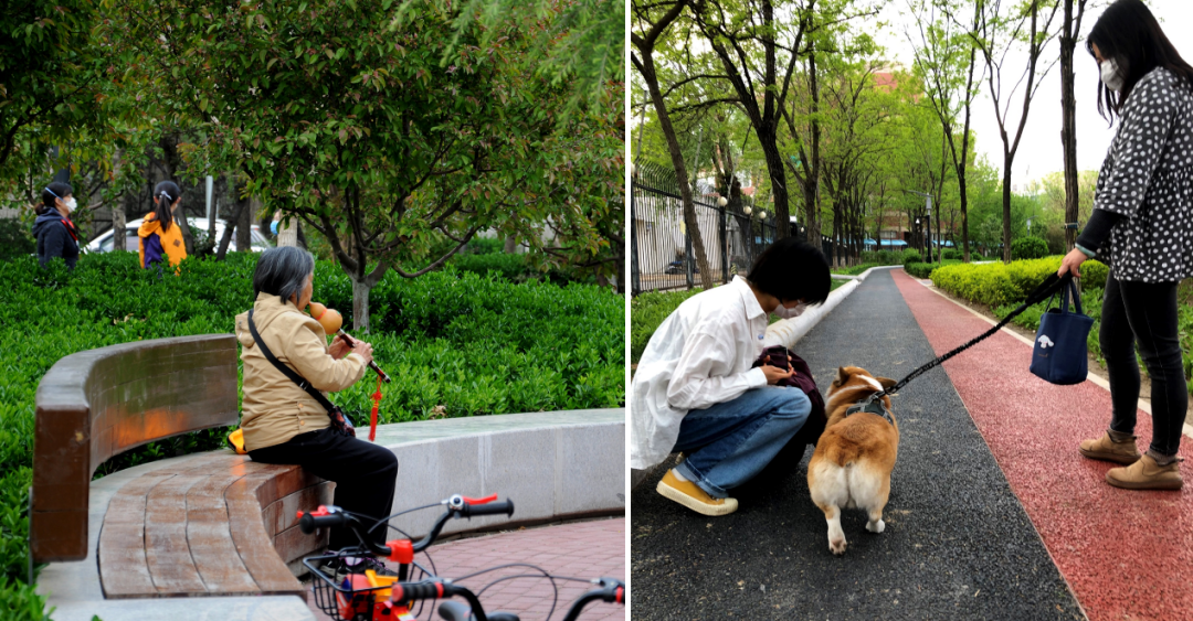 经开区9号绿地景观提升项目(海棠公园)丨中国北京丨北林地景-29