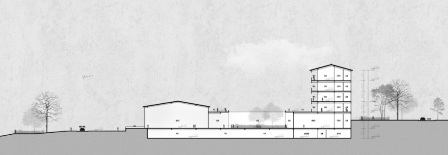 探秘龙游国际兰花博览园-63