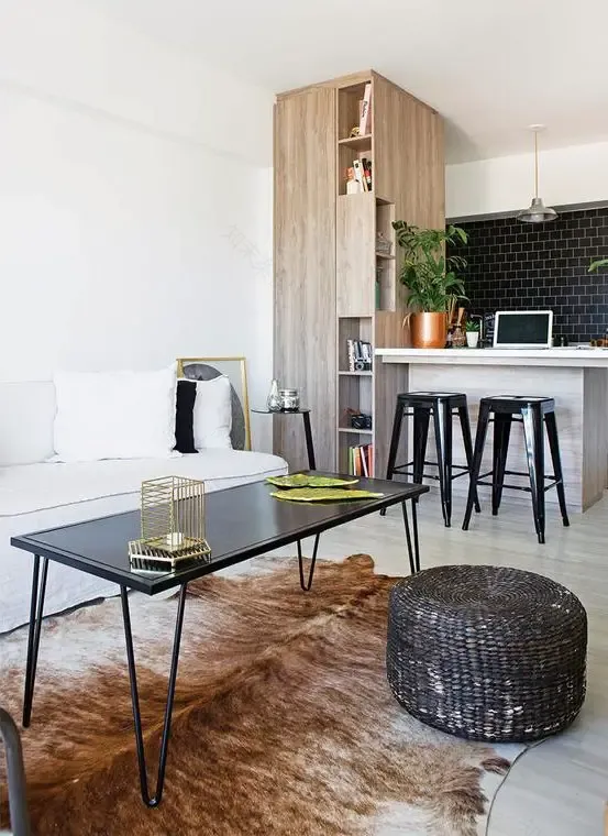 布宜诺斯艾利斯设计师的 38m²小户型奇迹-3