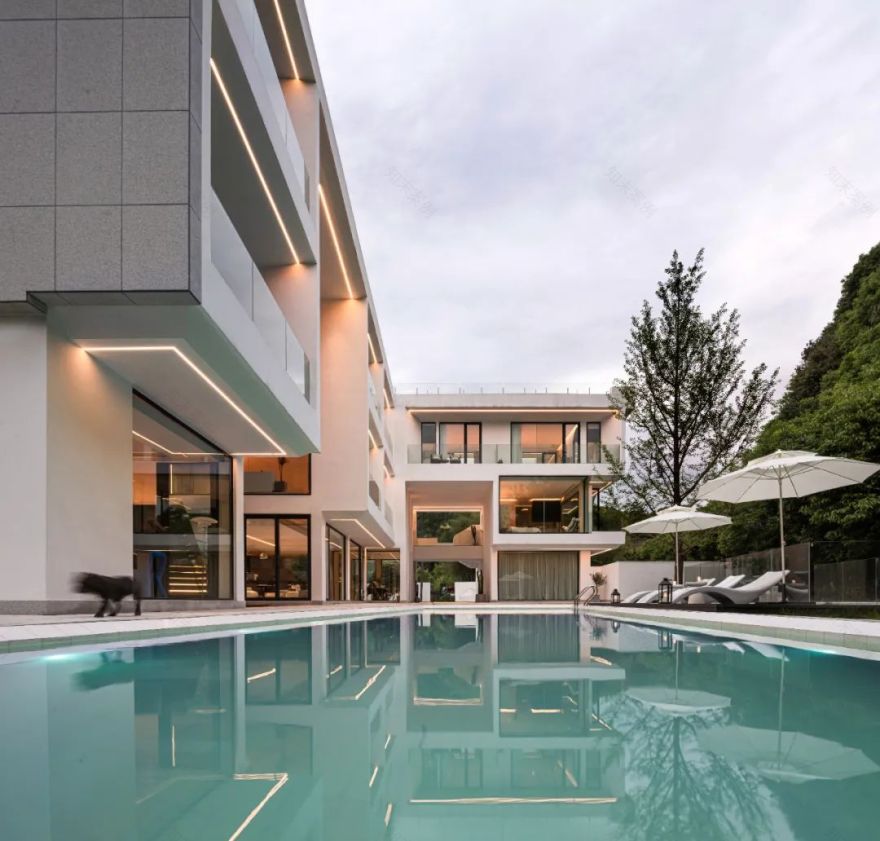 莫干山秘境杉林,尽享自然之美-31