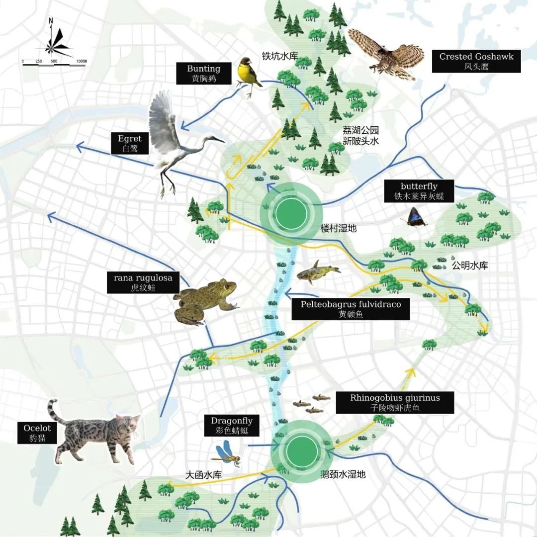 深圳市光明茅洲河中央水岸城市设计丨中国深圳丨塔科玛城市设计+清华同衡+AUBE欧博设计-127