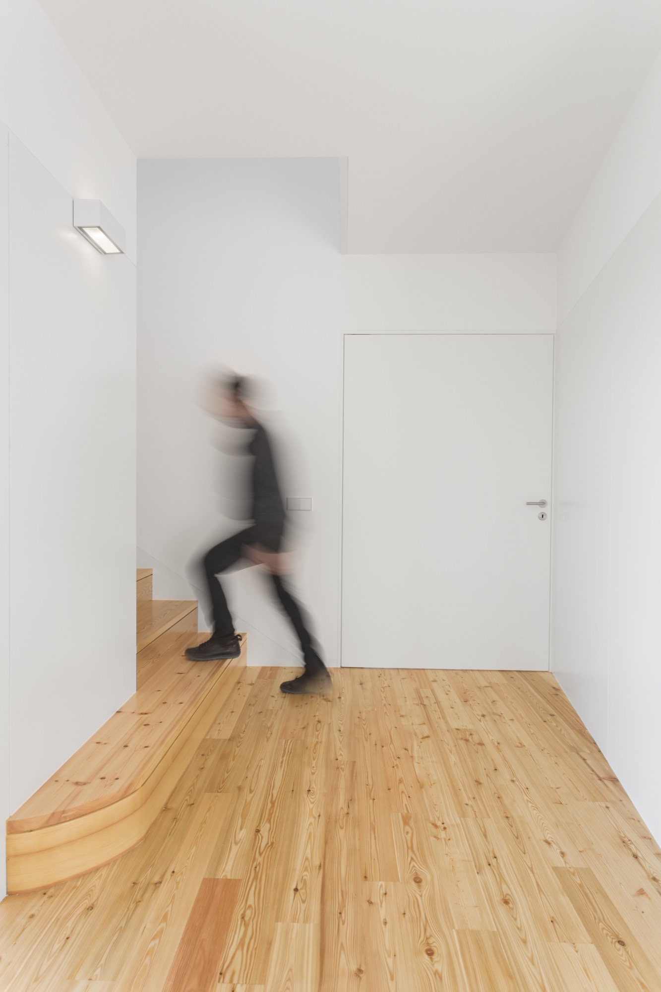 融入地形的葡萄牙私人住宅-41