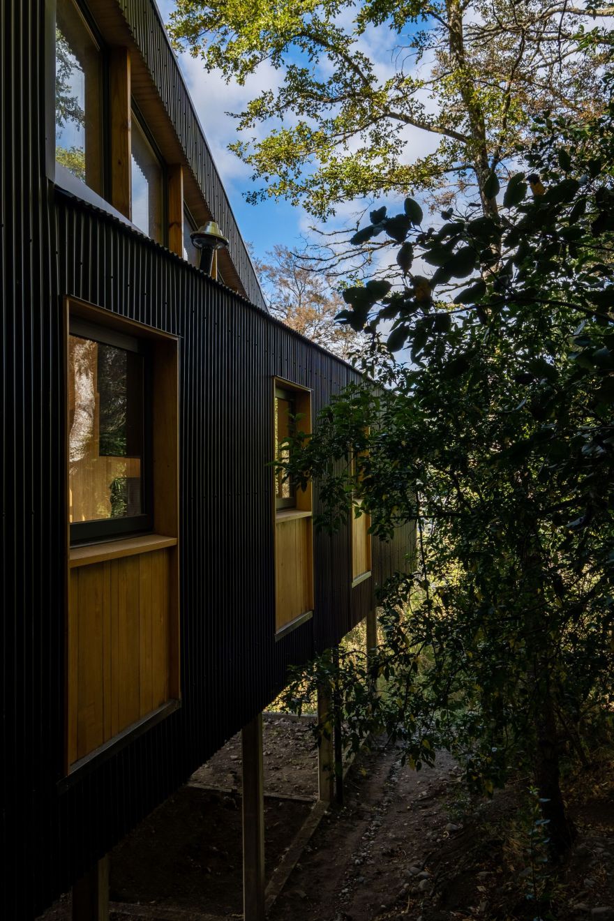 索萨之家丨阿根廷丨40Sur Arquitectura-15