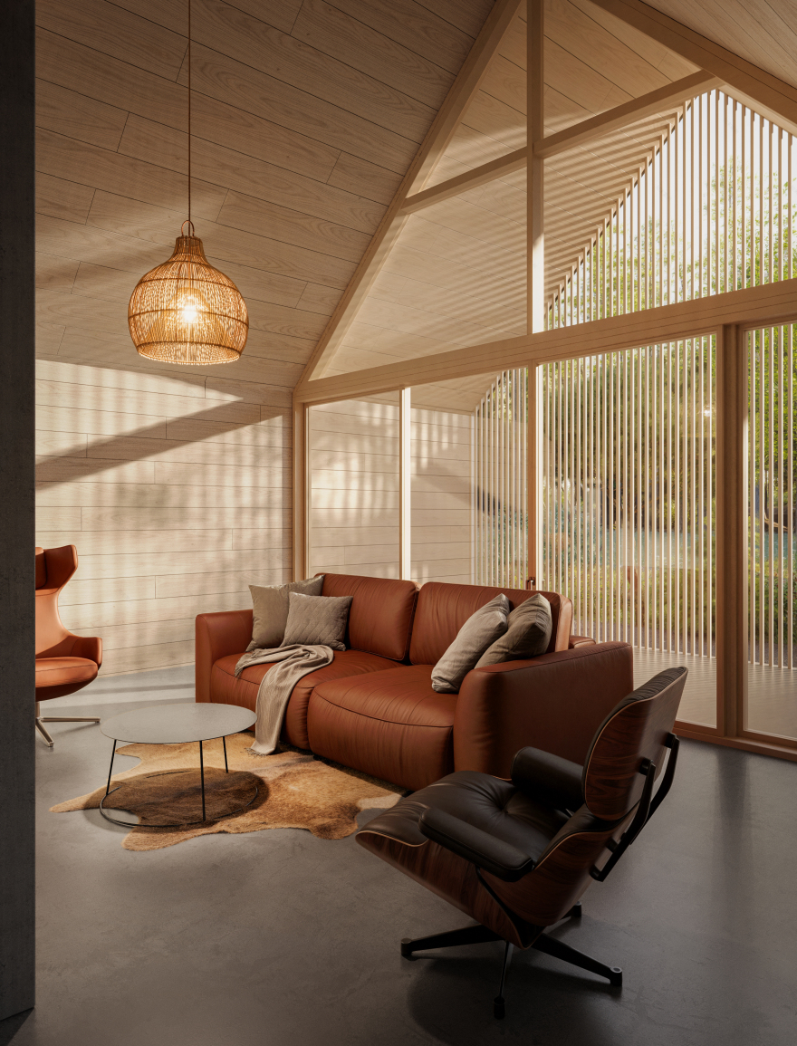 Borova现代乡村住宅可视化项目丨捷克-17