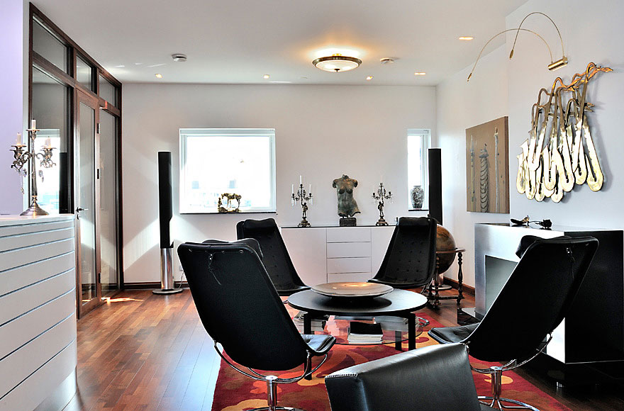 瑞典马尔默豪华复式顶层公寓-10