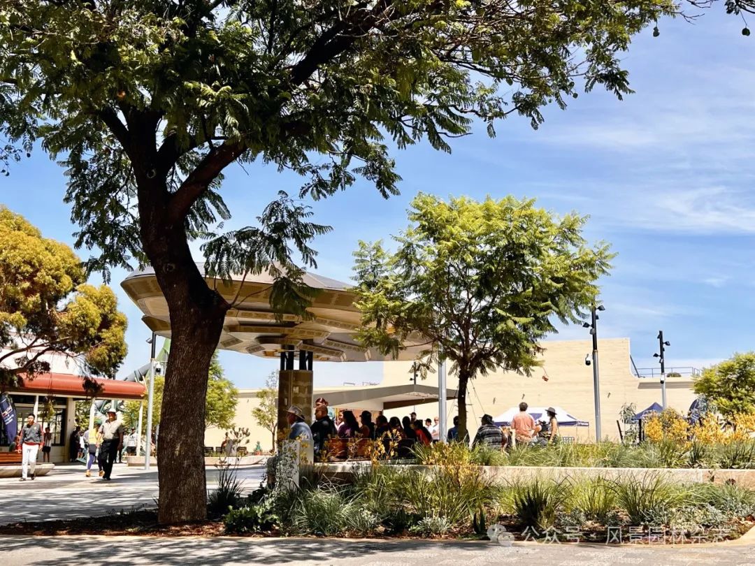 卡尔古利新市中心项目丨澳大利亚丨ASPECT Studios-15