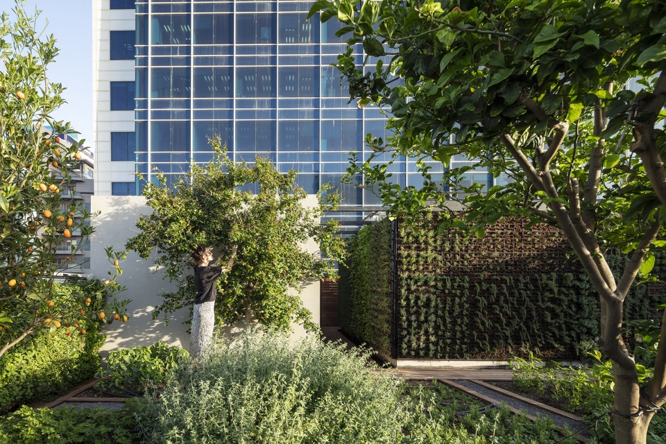 特拉维夫国家创业中心以色列烹饪学院,多功能蓝色空间融合烹饪文化-32