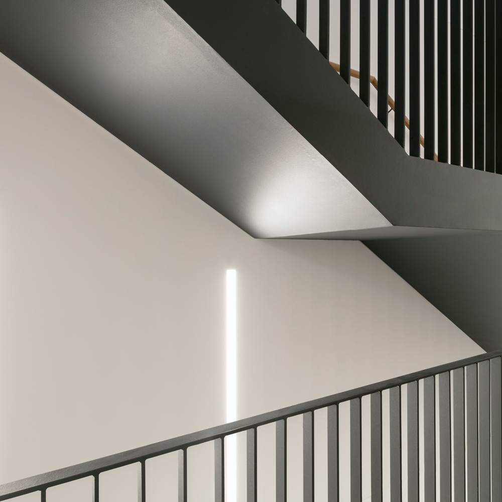 黑 façade 的集成感染疾病研究中心(CIID)-12