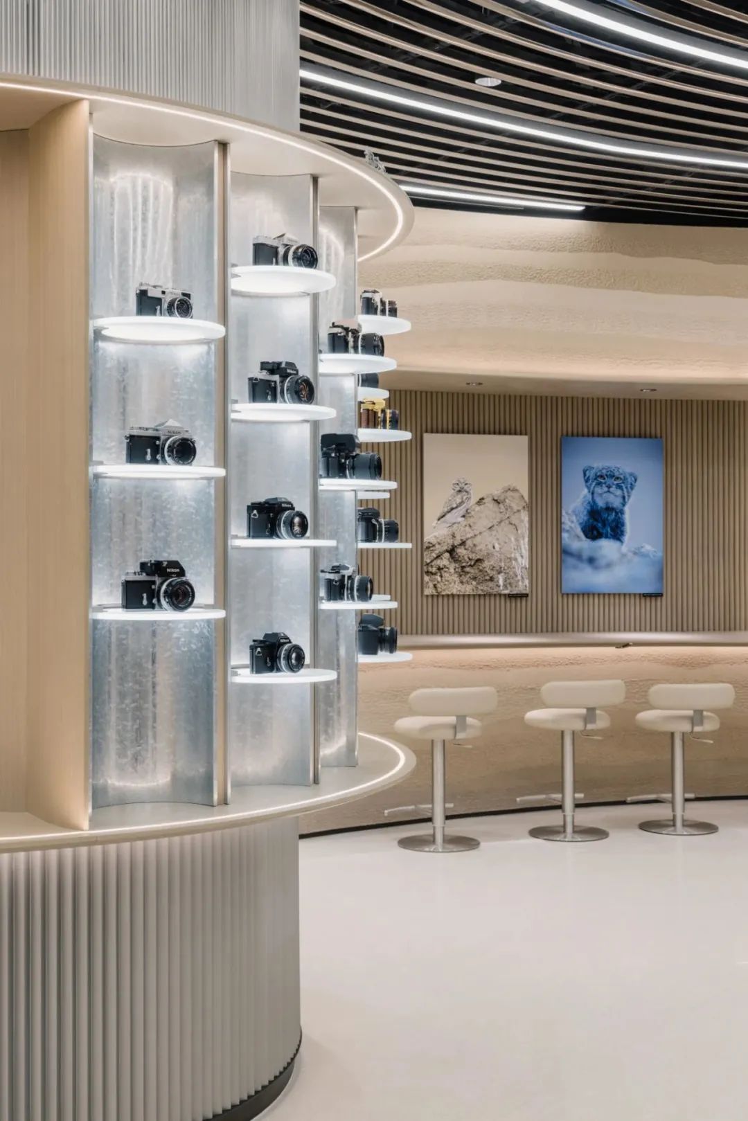 尼康成都直营店丨中国成都丨LUKSTUDIO 芝作室-37