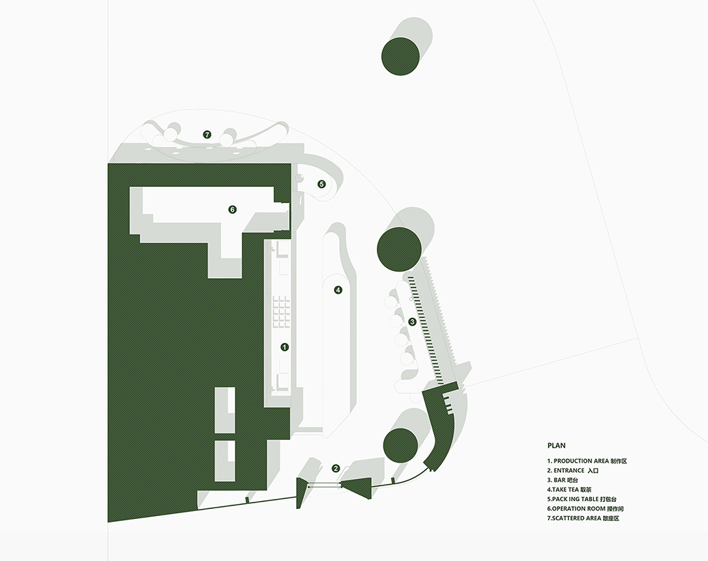 ZS · DESIGN | ZHIZHI CHA-6