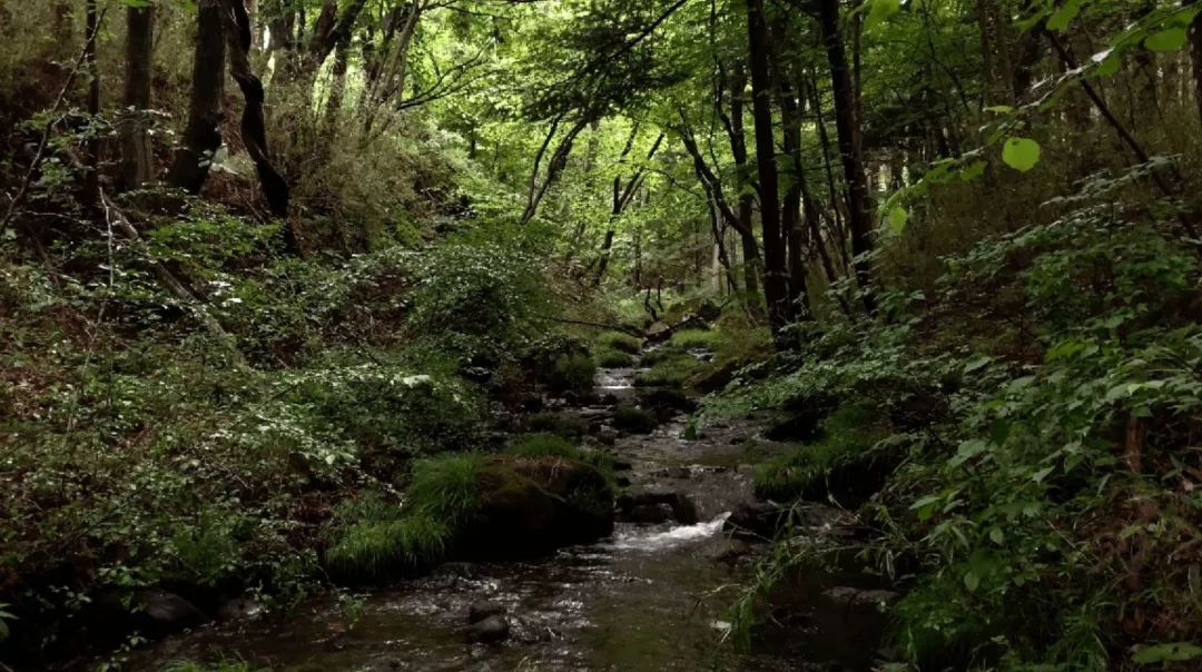 精选设计旅馆丨日本丨原研哉-158