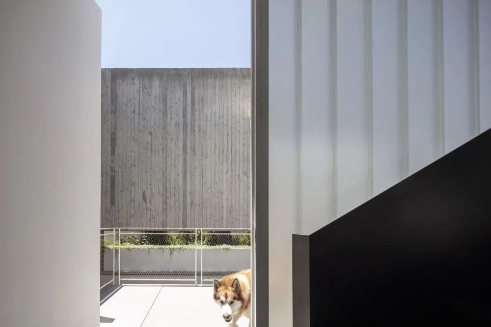 皮苏·凯德姆建筑师事务所-276