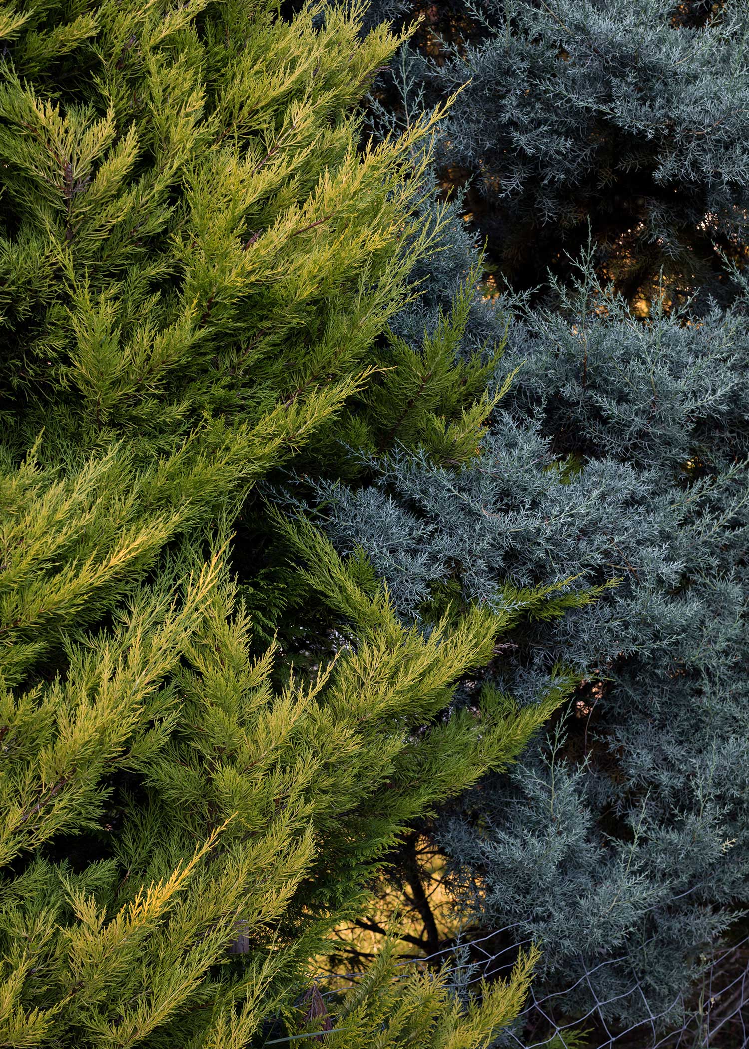 瑞士湖景“全景郊区”房-20