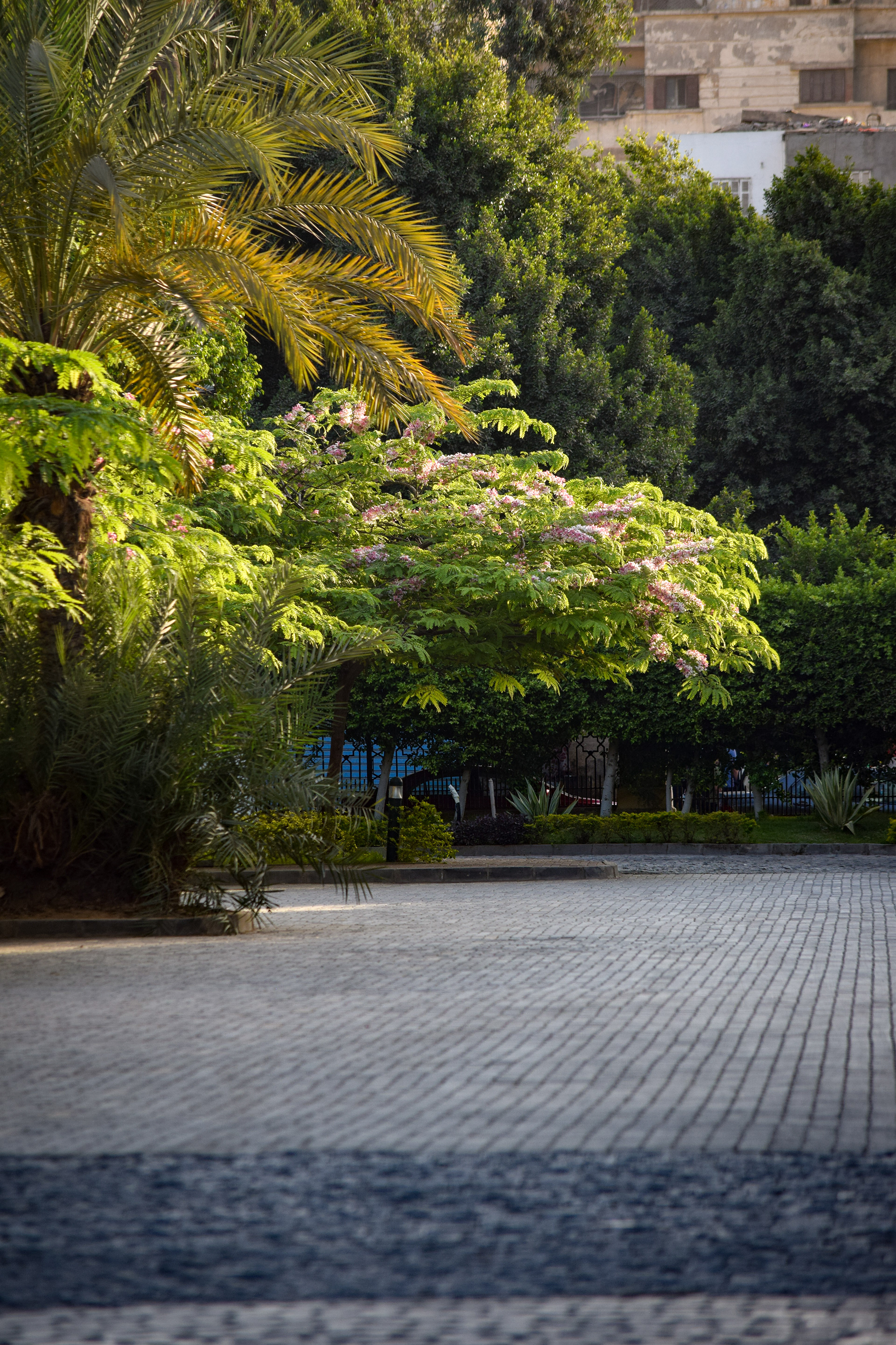 Ainshams University (FEDA) 最终摄影项目丨Ain Shams 大学建筑系-17