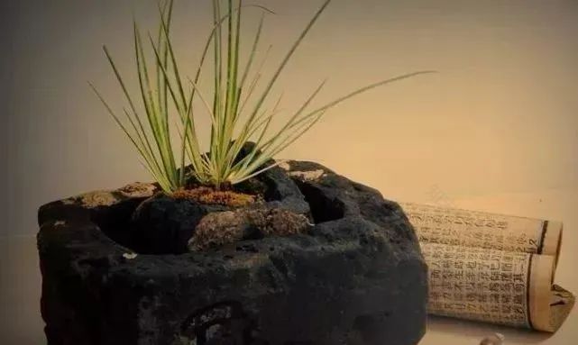 农村老砖老瓦的创意设计丨星艺装饰广州总部-69