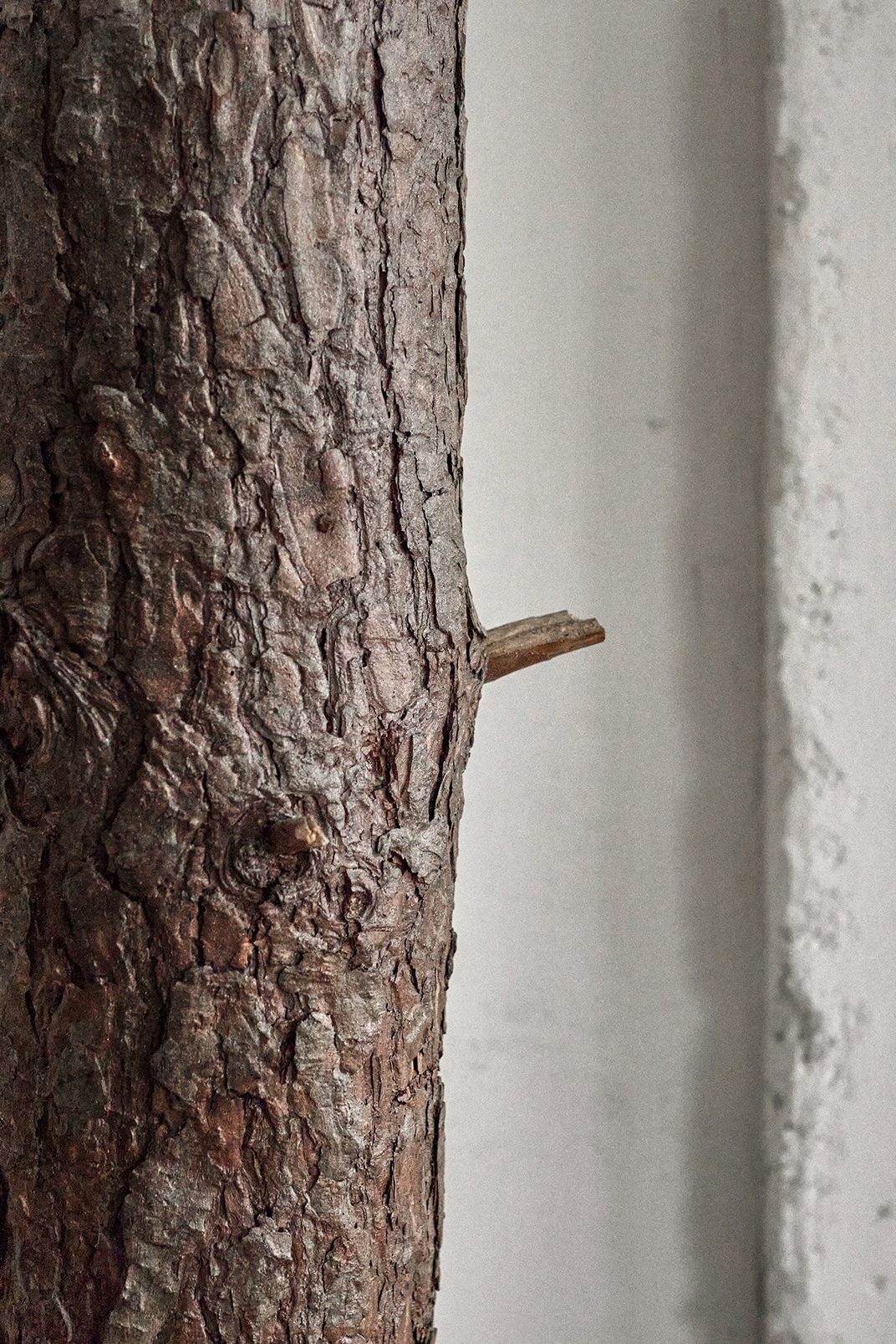 树林里的白天和黑夜概念酒吧,俄罗斯 | Space design by alinedesign studio - 酒吧餐厅 - 餐厅LOGO-VI空间设计-全球餐饮研究所-11