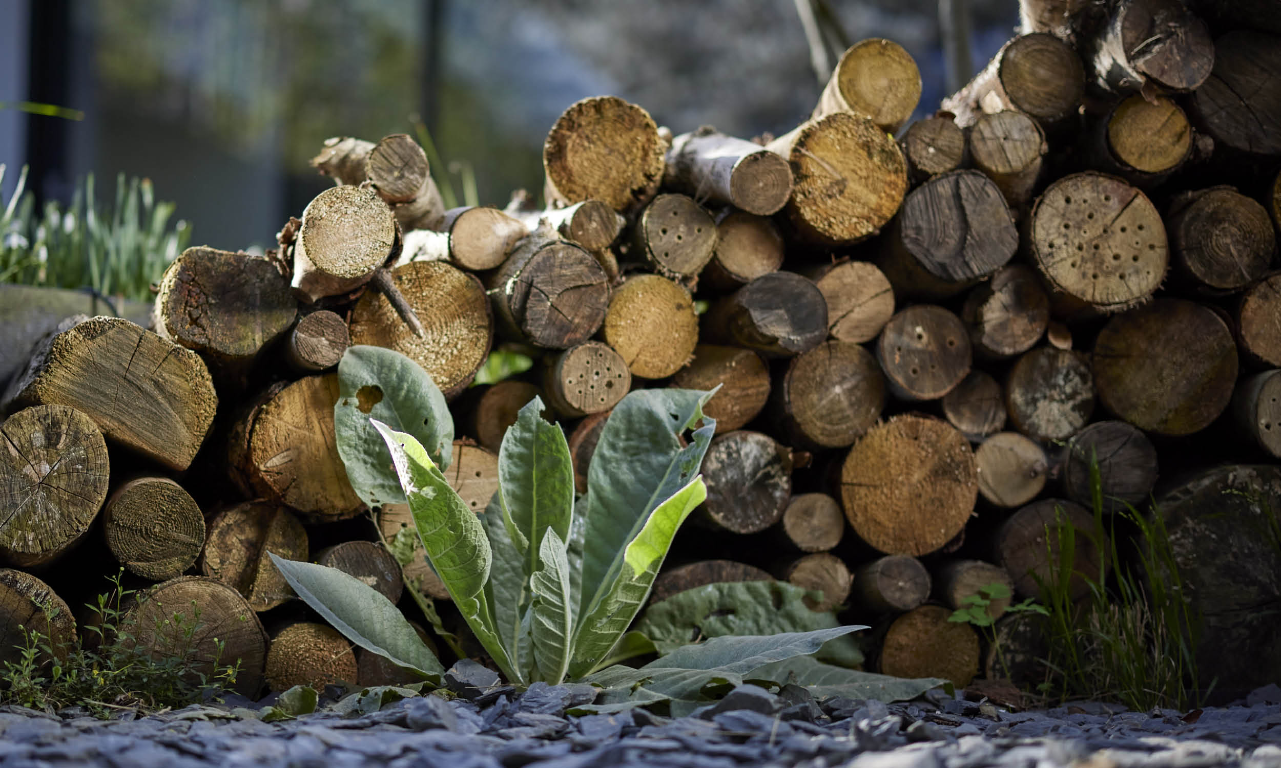 庭院花园,美在方寸之间丨英国丨Stefano Marinaz Landscape Arch-4
