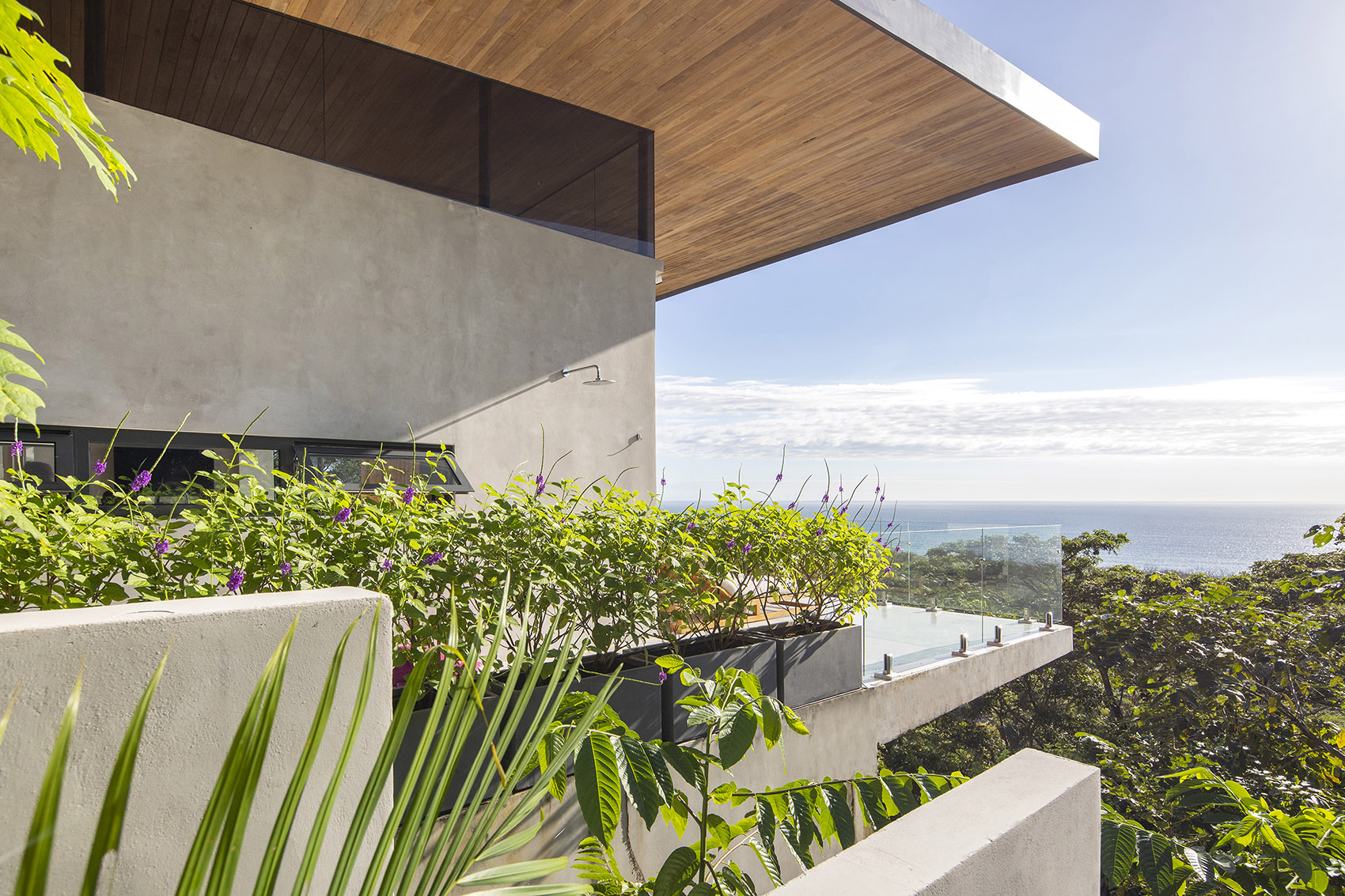 Bell Lloc 之家丨哥斯达黎加丨Studio Saxe-14