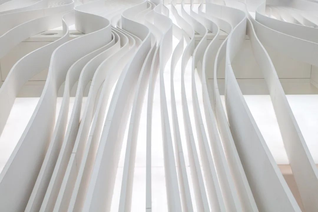 卡塔尔多哈城外的迪奥门店外观设计丨Aranda\Lasch-20