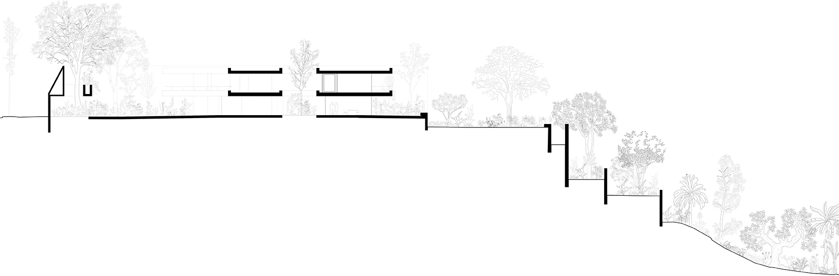 瑞士驻墨西哥大使住宅丨墨西哥墨西哥城-64