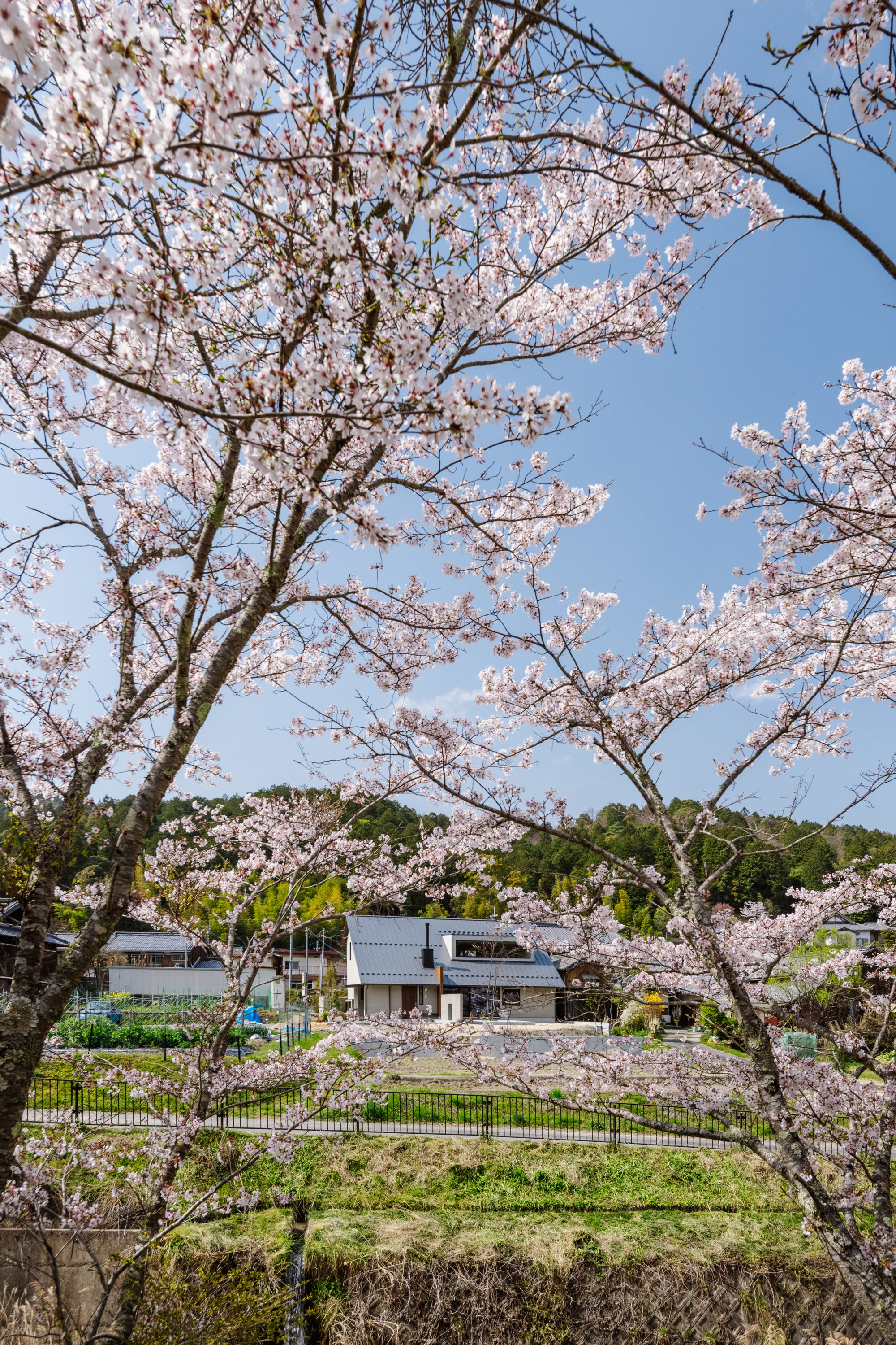 三云宅丨日本丨Hearth Architects-29