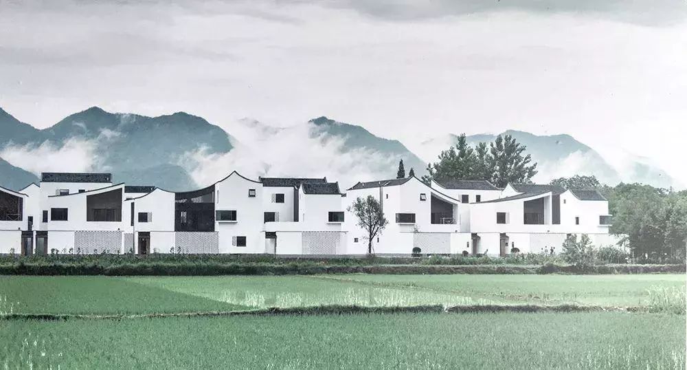 东梓关村 | 吴冠中笔下的江南民居重现,最美农村回迁房爆火-12