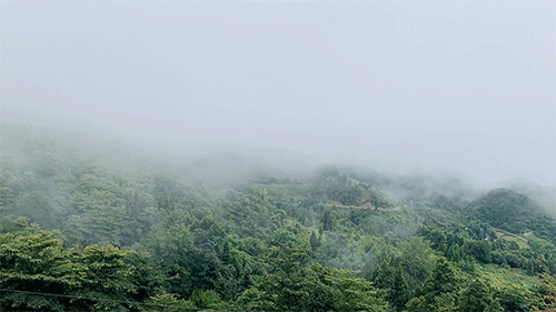 重庆飞茑集 | 睡入云端,尽享清凉山城田园生活-123