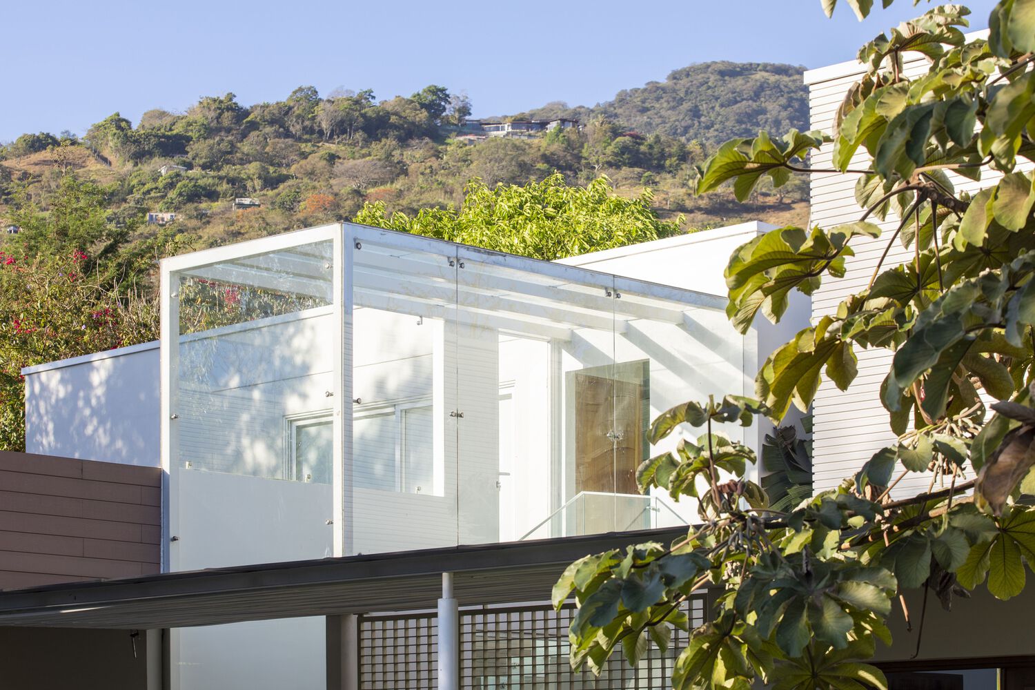 Casa Patio · 融入自然的可持续殖民地风格设计丨哥斯达黎加圣何塞-7