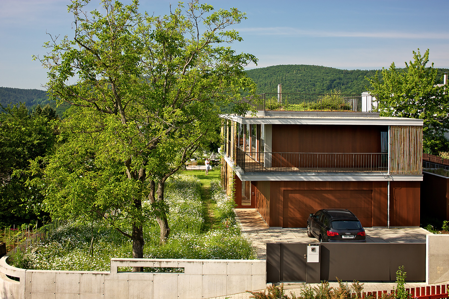 捷克布尔诺竹子别墅丨Atelier Stepan-16