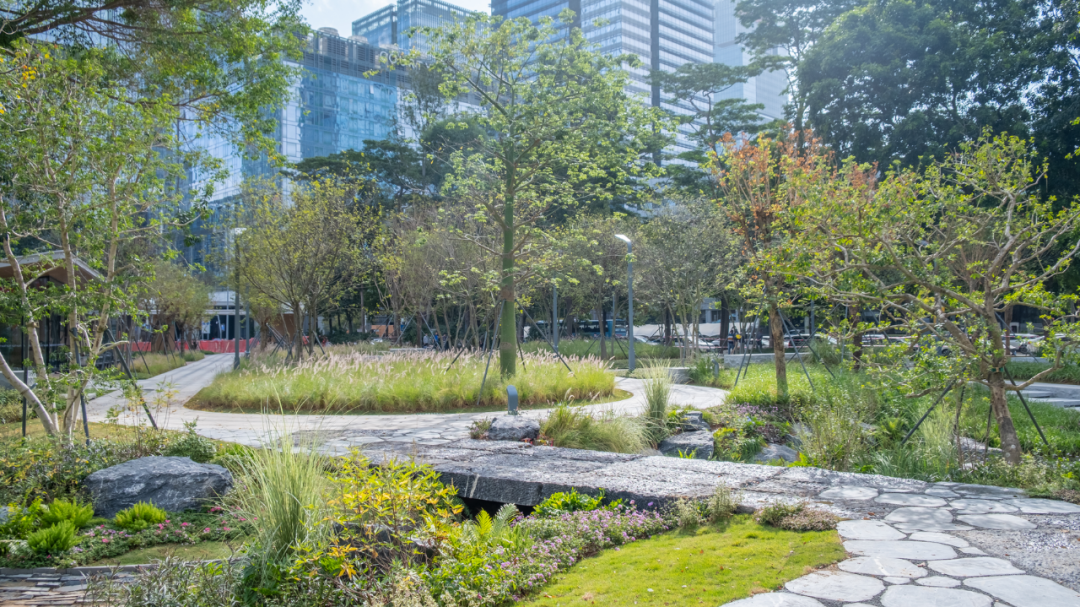 智见 · 云上 | 云之园 CLOUD PARK-183