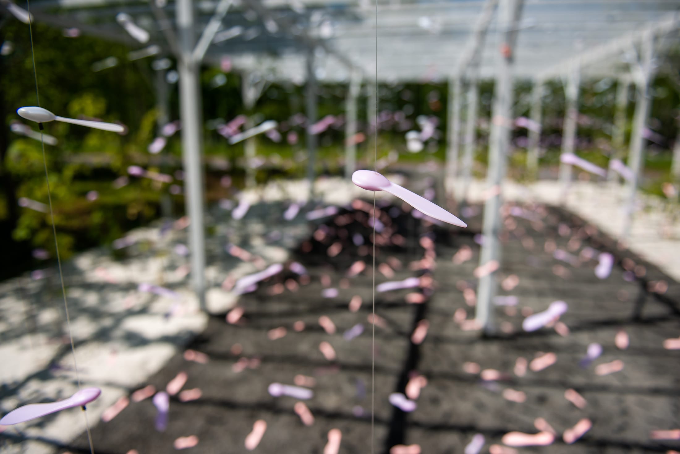 2019 加拿大国际花园节 | 彩色“岩石”结构装置引人入胜-42