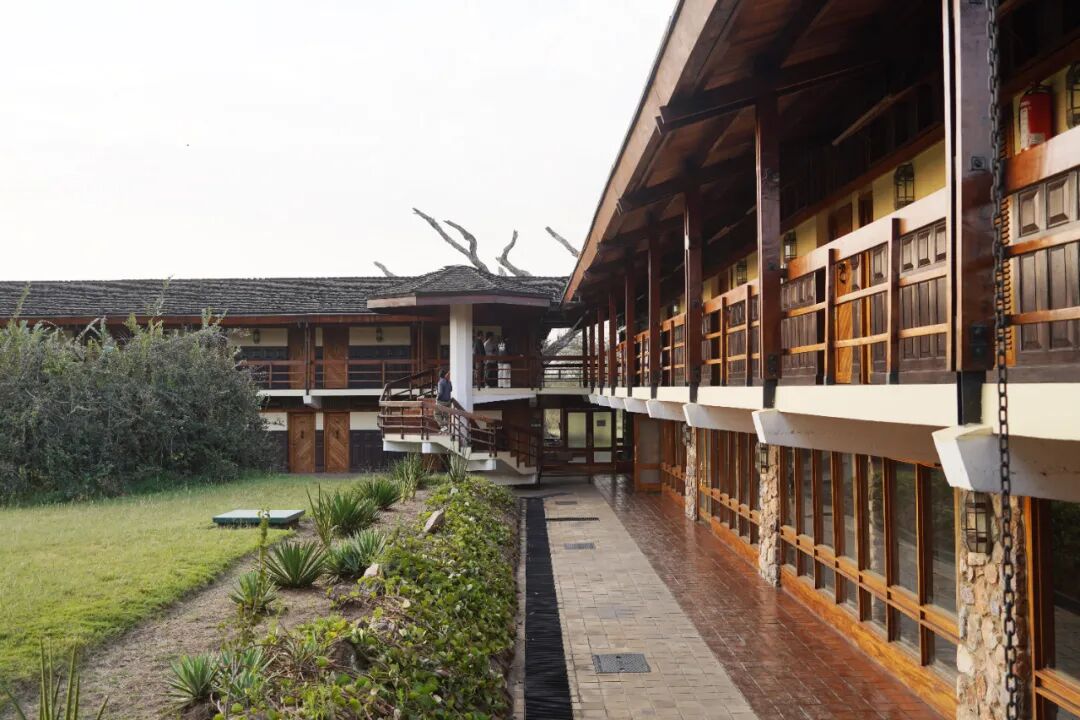 非洲考察2|坦桑酒店探访-70