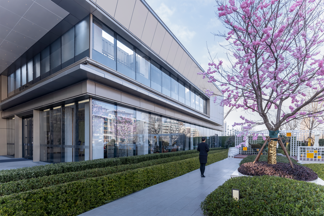 新城·翡丽之光丨中国日照丨DC 国际-26